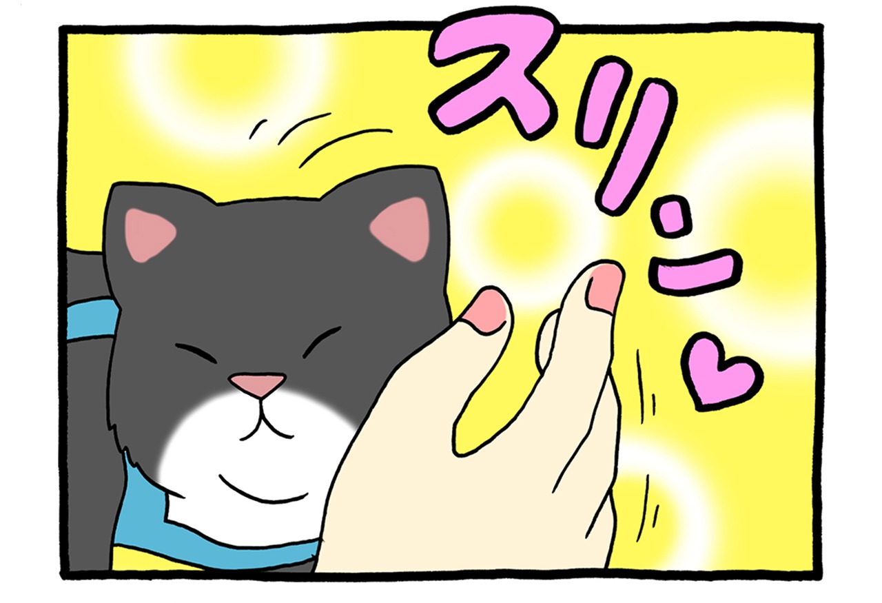 「レジネコ」より。