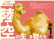 「じつは食べられるいきもの事典」より。