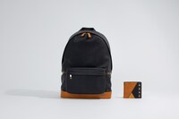 我妻善逸モデル。