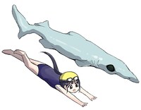 ヘラツノザメとポン子。 (c)矢寺圭太／小学館