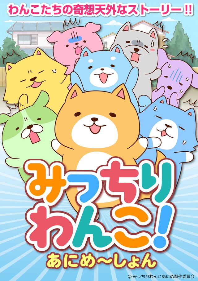 アニメ「みっちりわんこ！あにめ～しょん」キービジュアル