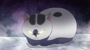 アニメ「犬と猫どっちも飼ってると毎日たのしい」PVより。