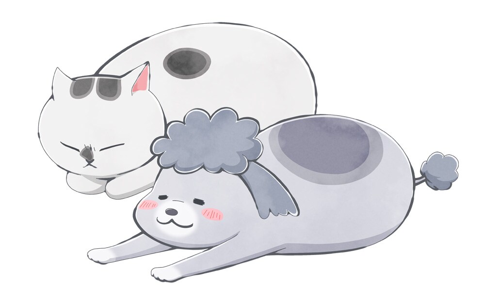 【全巻まとめ】犬と猫どっちも飼ってると毎日楽しい 1〜8巻セット キャラクター 犬と猫どっちも飼ってると毎日たのしい コミック 1-4巻セット