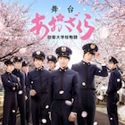 舞台「あおざくら」桜満開のメインビジュアル、21日からチケット一般販売開始