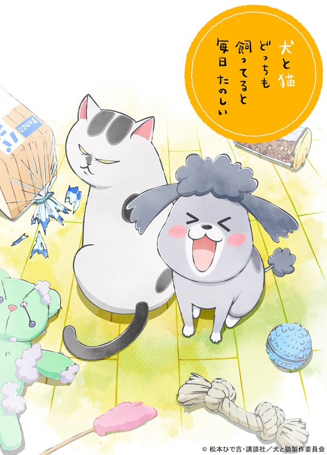 アニメ「犬と猫どっちも飼ってると毎日たのしい」キービジュアル