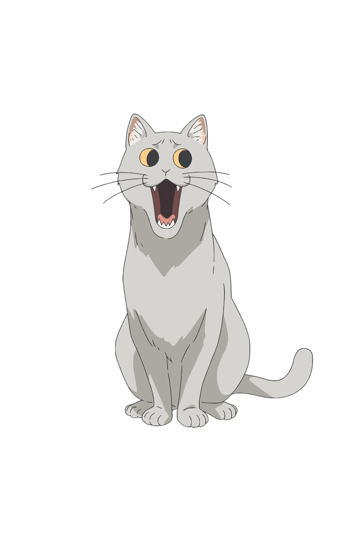 KUSO CAT