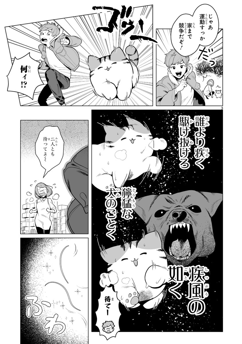 「田舎ねこ とらちよが行く！」より。