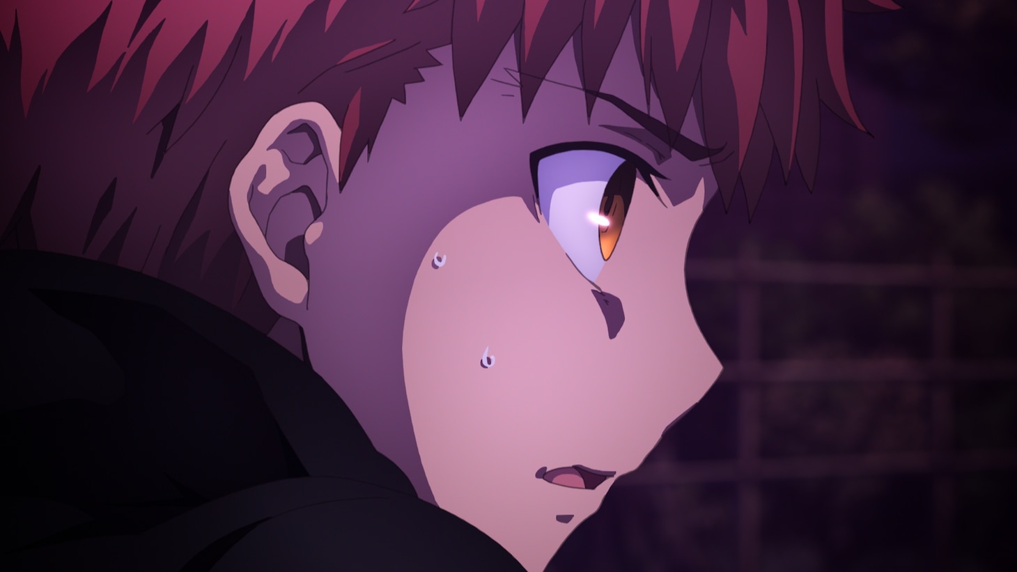 劇場版「Fate/stay night [Heaven's Feel]」III.spring song」場面写真