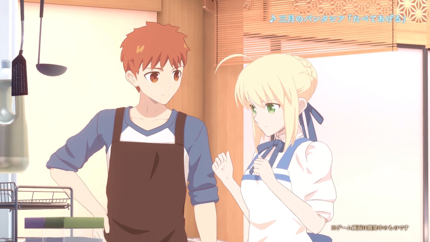 「毎日♪ 衛宮さんちの今日のごはん」PVより。