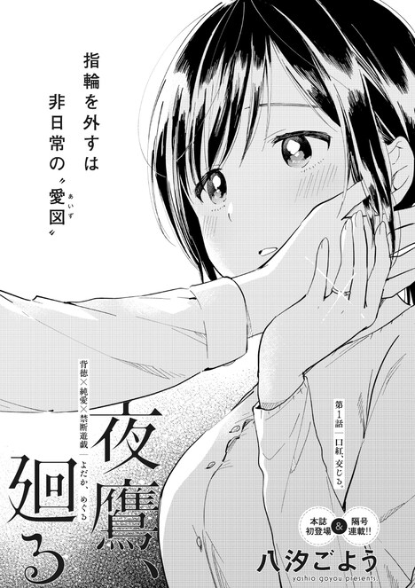 「夜鷹、廻る」