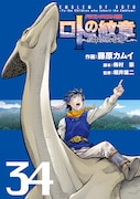 「ドラゴンクエスト列伝 ロトの紋章~紋章を継ぐ者達へ~」34巻