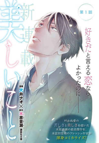 「美しいこと」扉ページ