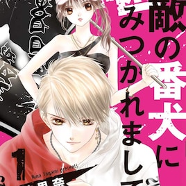 「兄こま」夜神里奈が描く強気女子×狂犬男子のスリルラブ、1・2巻同時発売