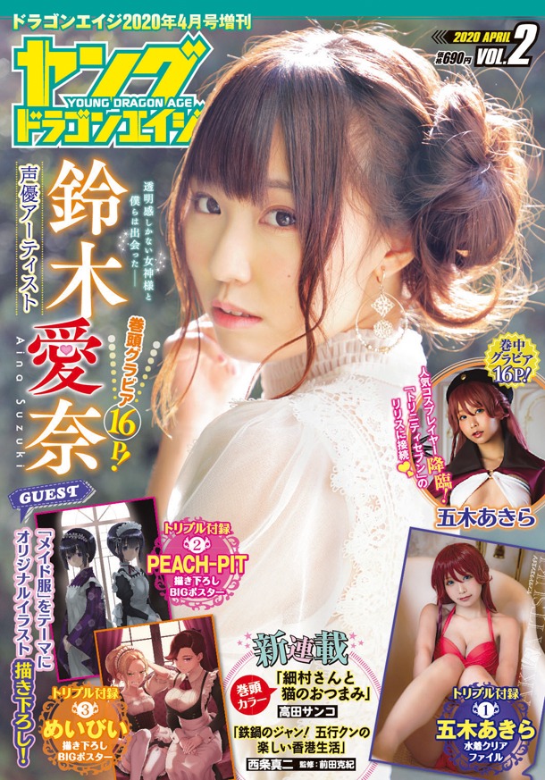 ヤングドラゴンエイジ Vol.2