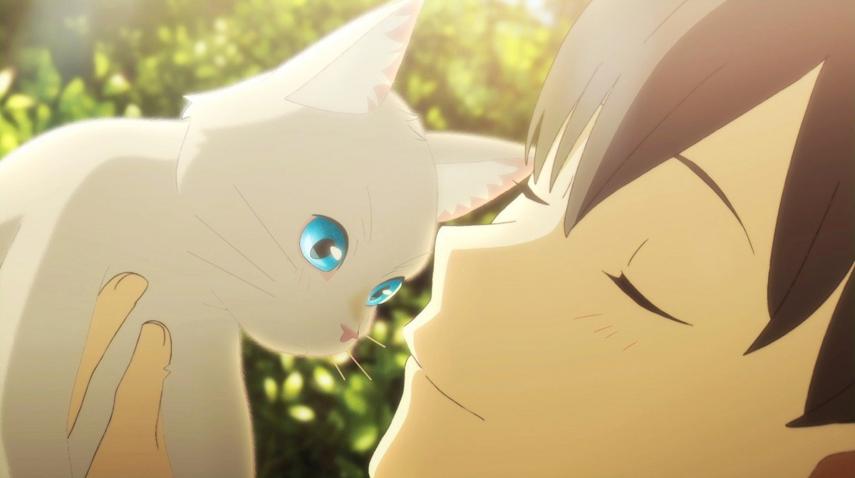 映画「泣きたい私は猫をかぶる」場面カット