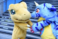 寒い屋外での撮影で、暖め合うアグモンとガブモン。
