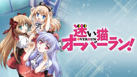 「迷い猫オーバーラン！」（放送10周年） (c)松智洋・ぺこ,集英社・迷い猫同好会