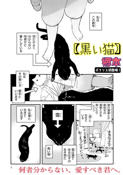 「黒い猫」より。