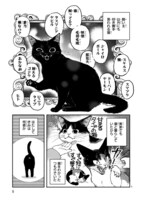 「黒い猫」より。