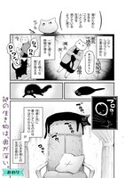 「黒い猫」より。