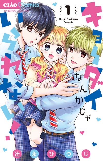 「キョーダイなんかじゃいられない！」1巻