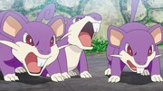 TVアニメ「ポケットモンスター」の「夢へ向かってゴー!サトシとゴウ!!」回より。