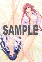 月刊ドラゴンエイジ5月号付録の「トリニティセブン 7人の魔書使い」ポスター。