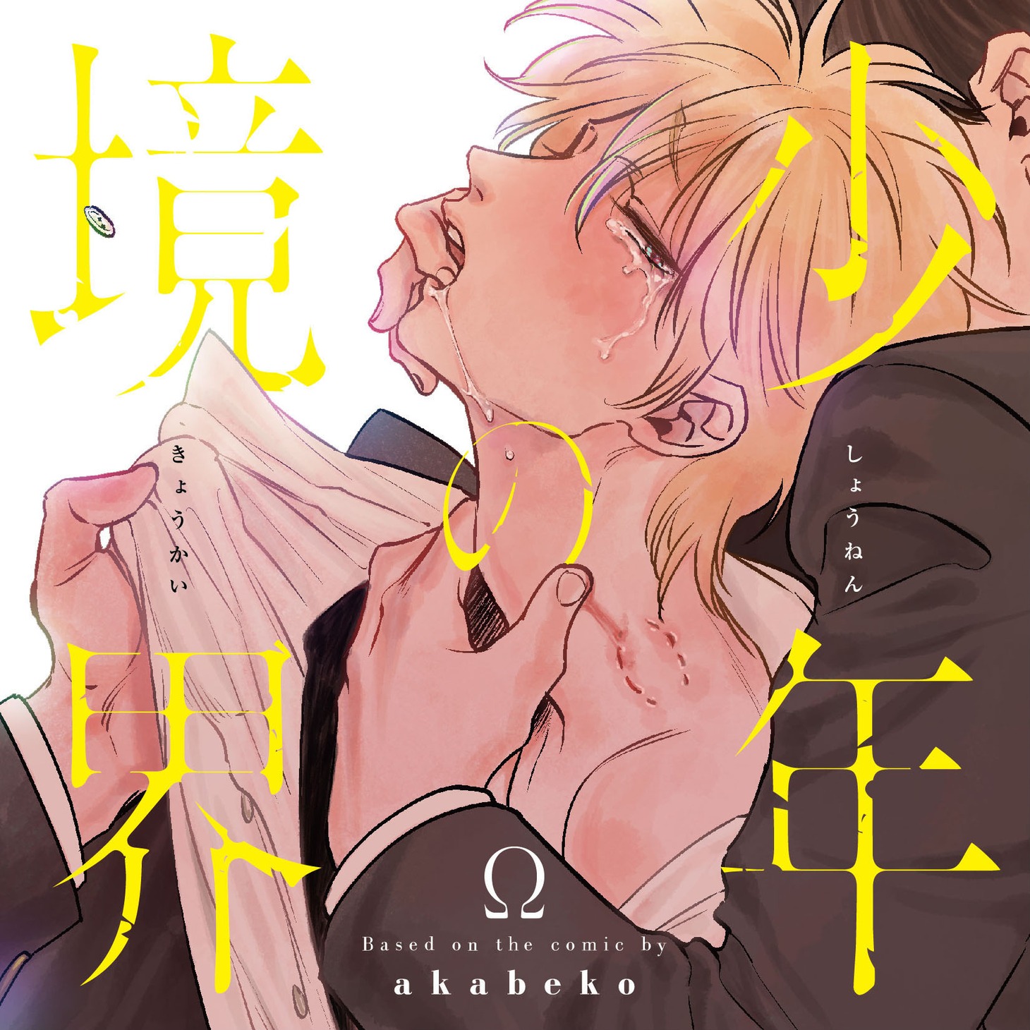 「少年の境界」