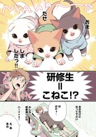 「ねこのマッサージ屋さん」より。