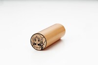 「異種族レビュアーズ」痛印