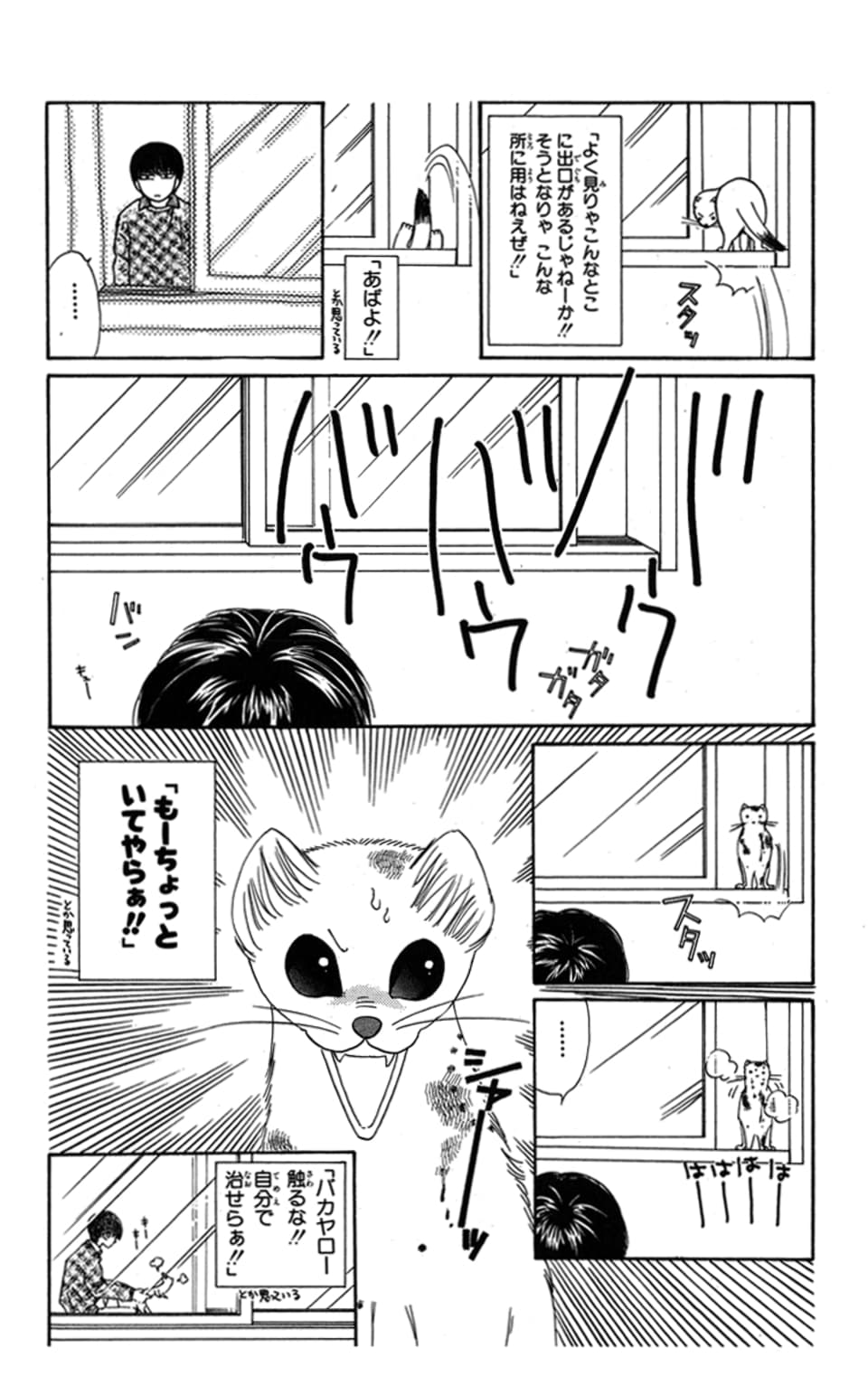 「オコジョさん」より。