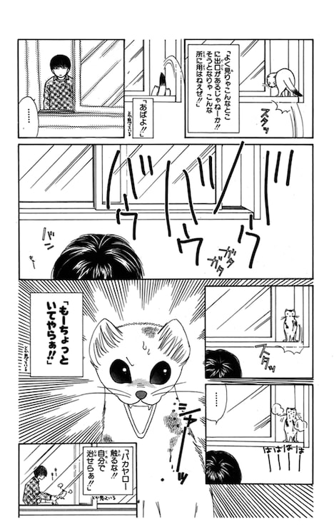 「オコジョさん」より。