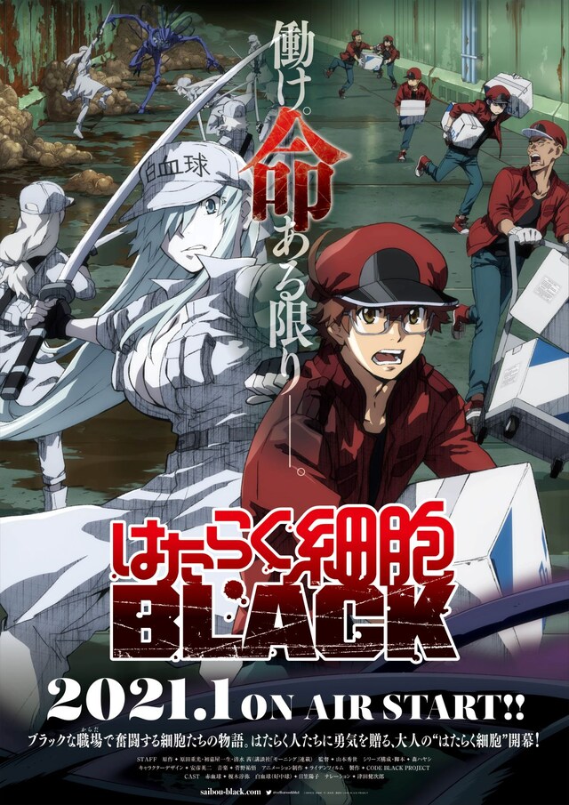 TVアニメ「はたらく細胞BLACK」キービジュアル