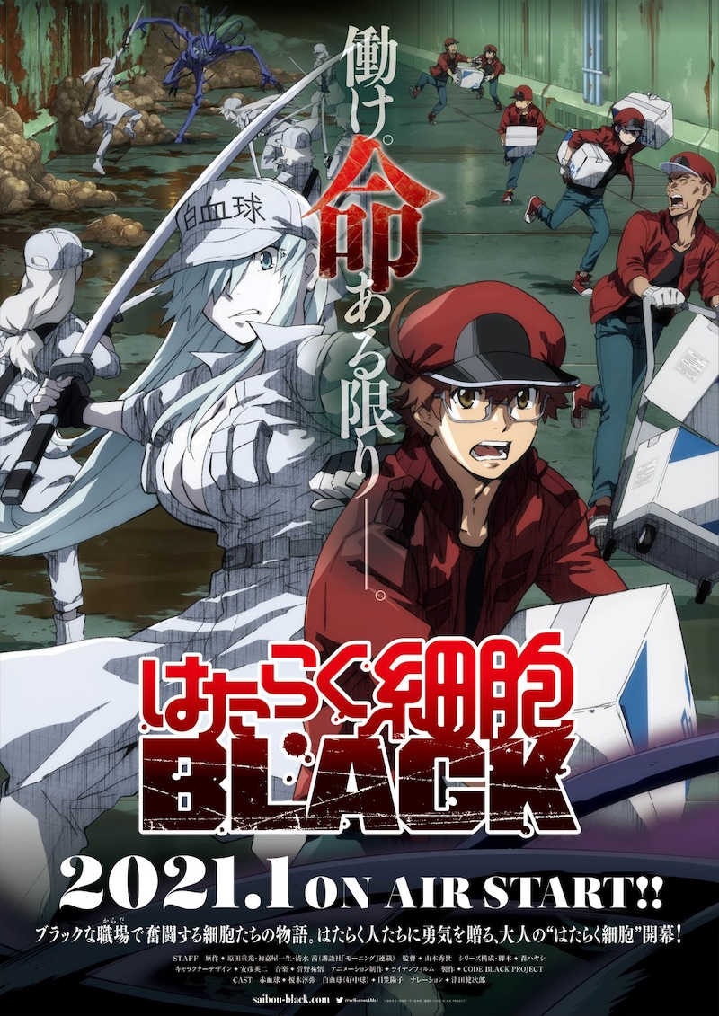 TVアニメ「はたらく細胞BLACK」キービジュアル