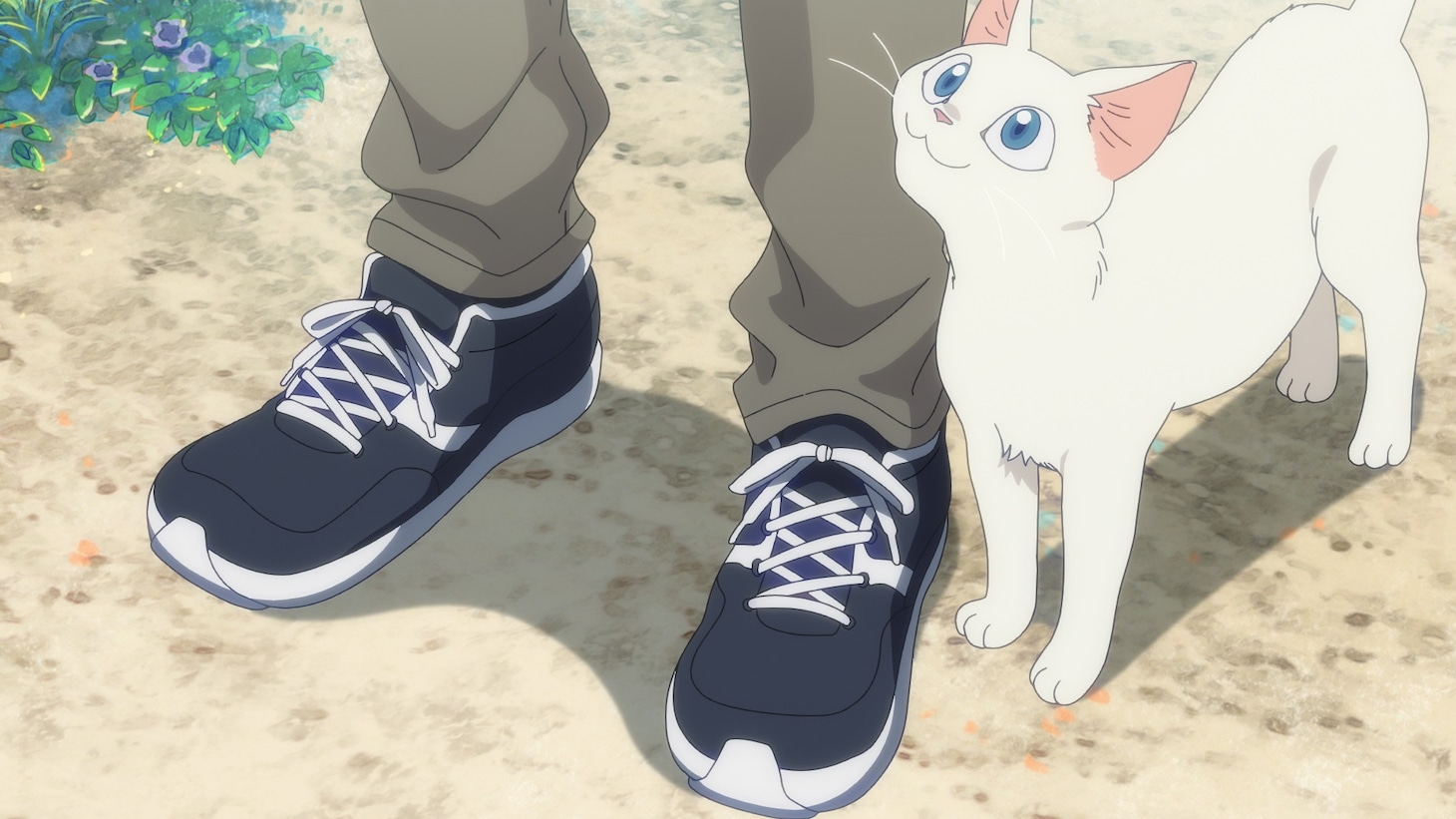 劇場アニメ「海辺のエトランゼ」場面写真