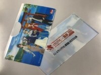 付録のマスクケース。