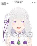 「Re:ゼロから始める異世界生活」新編集版Blu-ray BOXのジャケット表面。