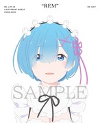 「Re:ゼロから始める異世界生活」新編集版Blu-ray BOXのジャケット裏面。