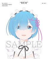 「Re:ゼロから始める異世界生活」新編集版Blu-ray BOXのジャケット裏面。