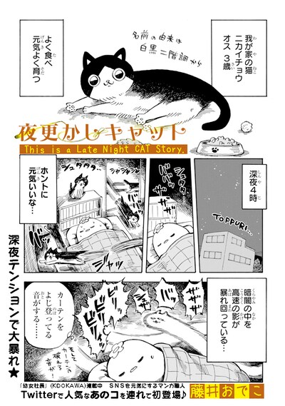 「夜更かしキャット」より。