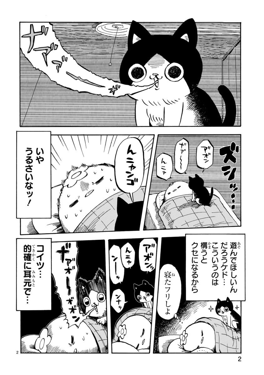 「夜更かしキャット」より。