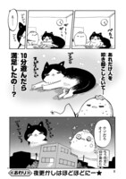 「夜更かしキャット」より。