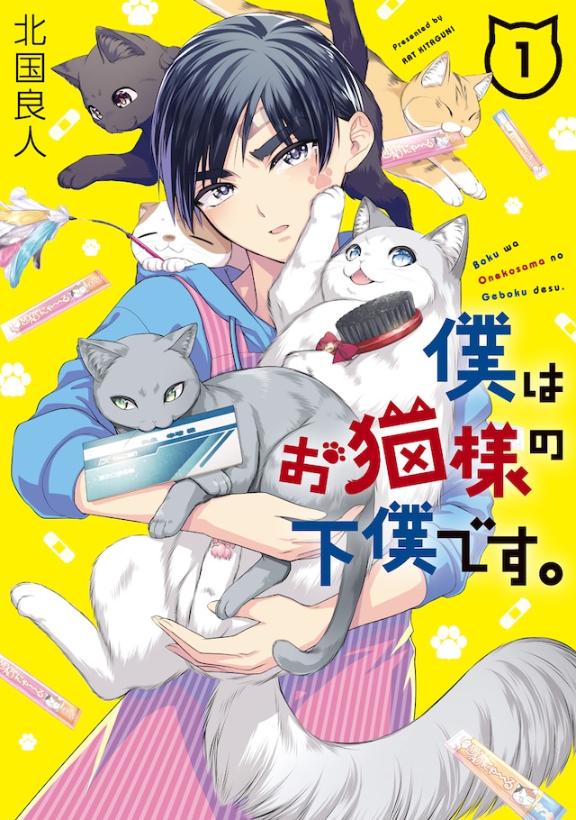 「僕はお猫様の下僕です。」1巻