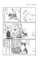 「猫の菊ちゃん」より、「菊ちゃん登場」。