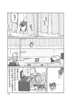 「猫の菊ちゃん」より、「菊ちゃん登場」。