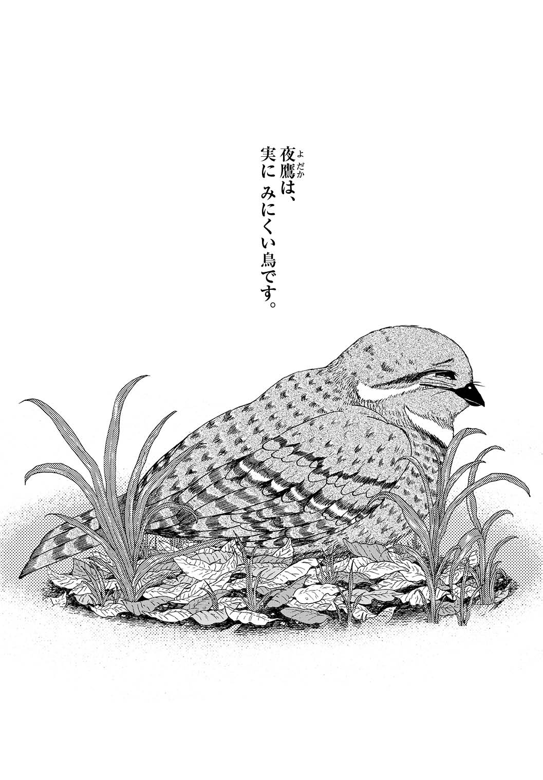「よだかの星」より。