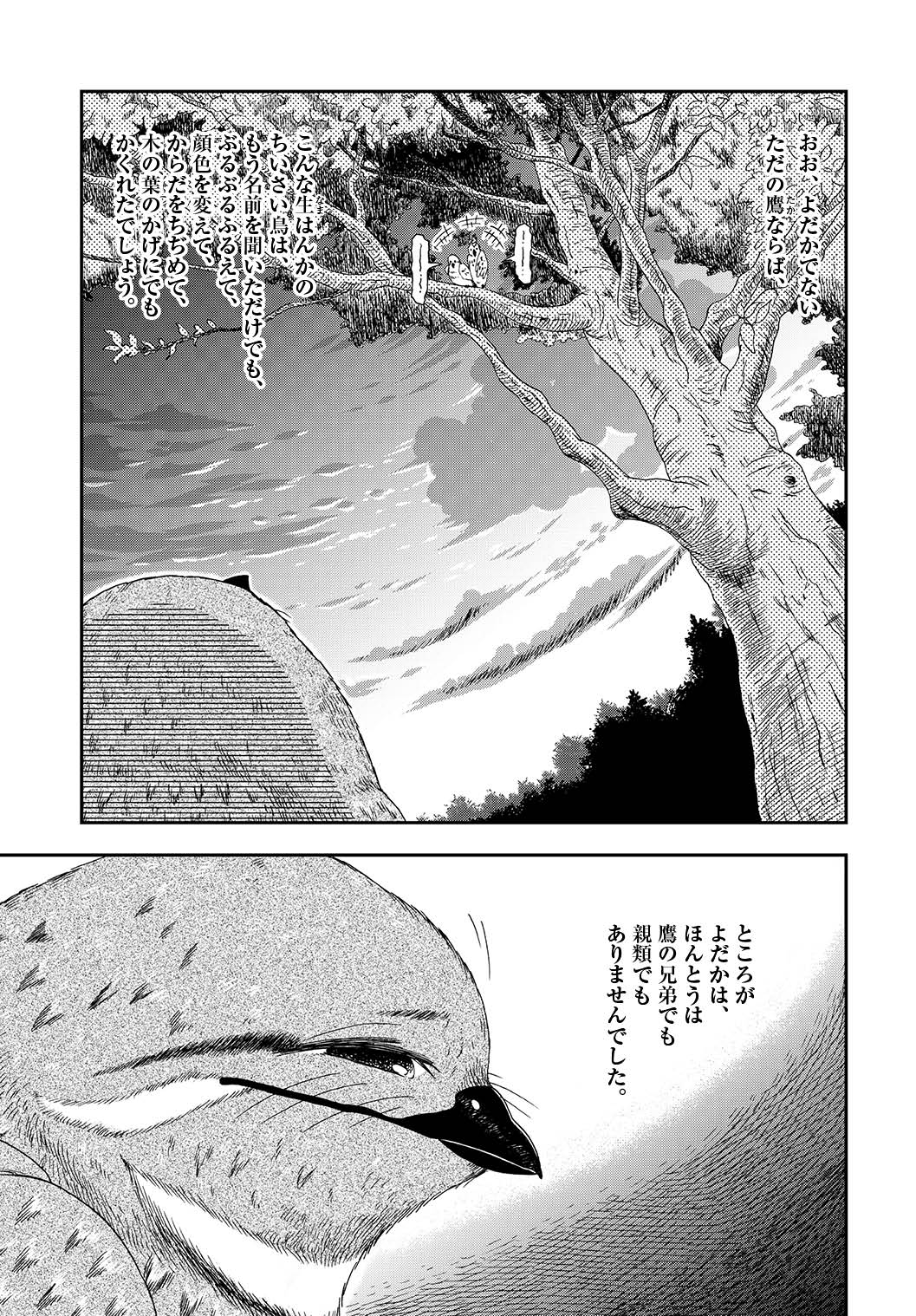 「よだかの星」より。