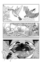 「よだかの星」より。