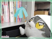 「『あんさんぶくぶスターズ！』こうがBIGサイズぬいぐるみ」