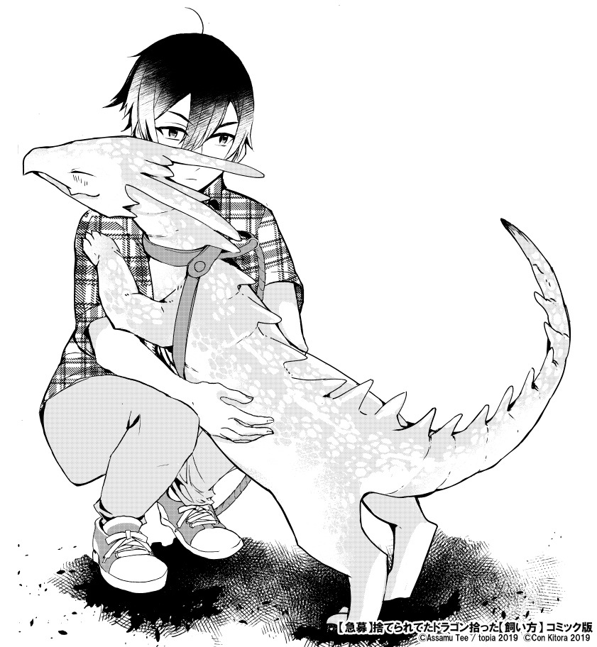 「【急募】捨てられてたドラゴン拾った【飼い方】～ドラゴンと猫のいる日常～」1巻より。